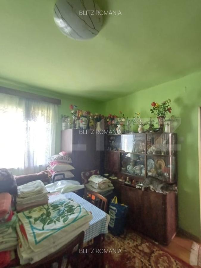 Casa renovabila, 2 camere, zona Cetate - 10