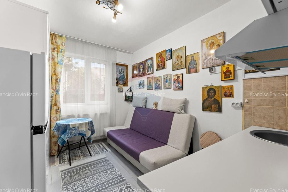 Garsoniera renovata, complet mobilata, zona centrala - Calea Romanilor - 1