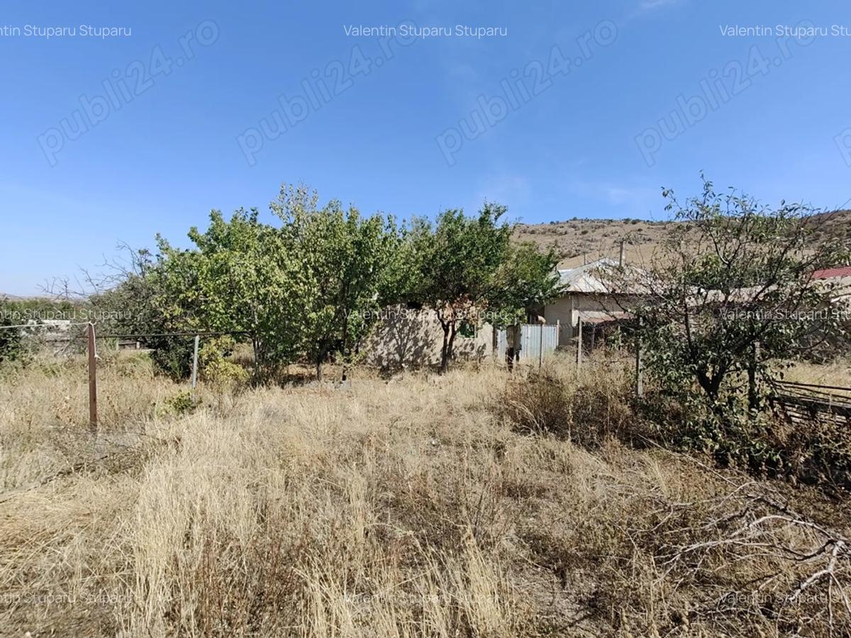 Vanzare casa batraneasca la poalele Mun?ilor Macin 1000 mp teren, 5 camere, vedere panoramica - 7