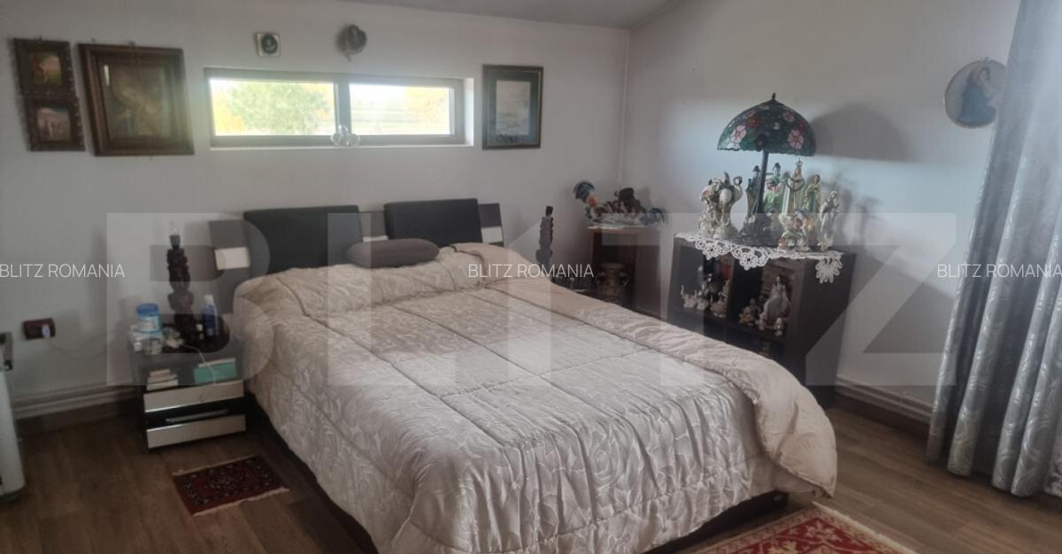 Proprietate multifunctionala,VILA,Teren 28000 mp+afacere pis - 14