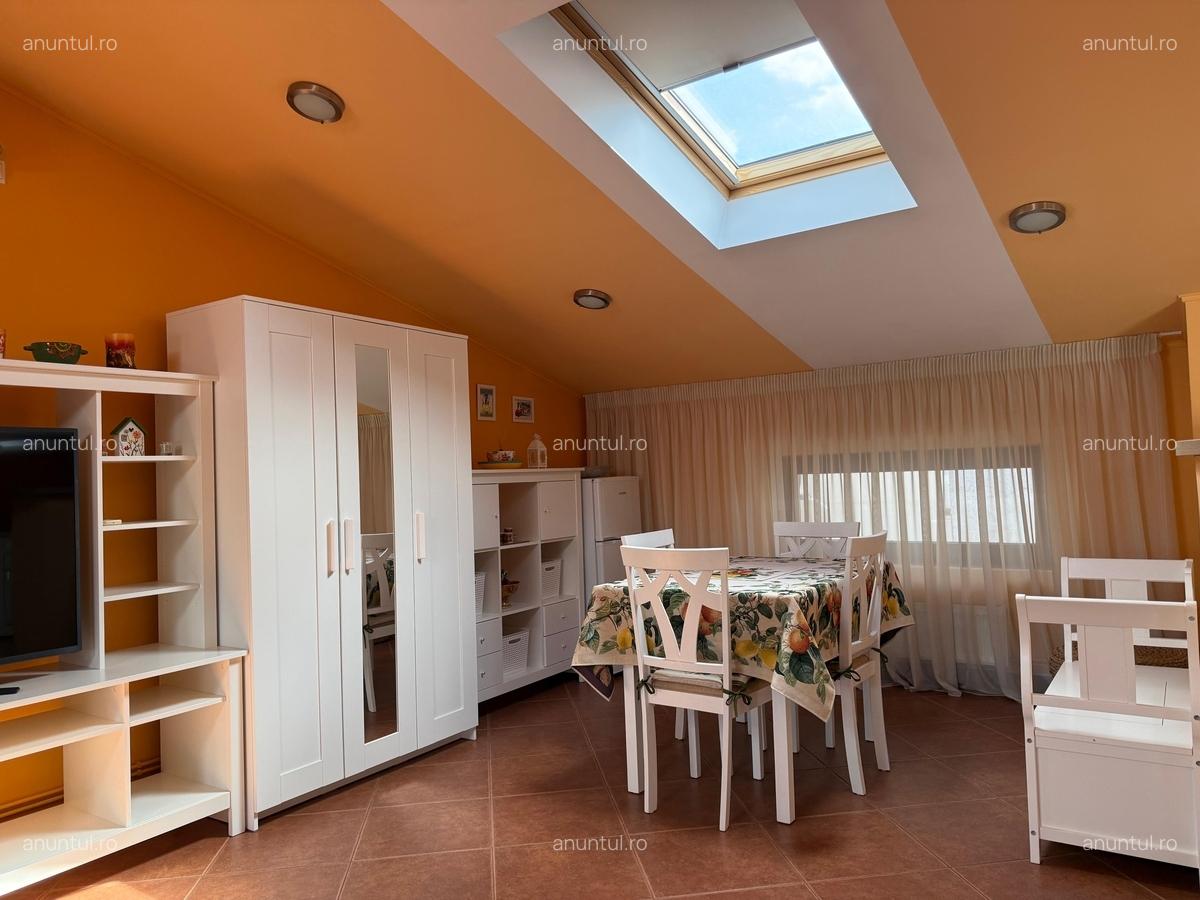 Dorobanti, Tudor Stefan - 5