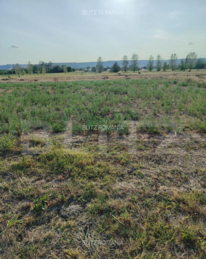 Teren intravilan 2895 mp, Gogosu Dolj - 1