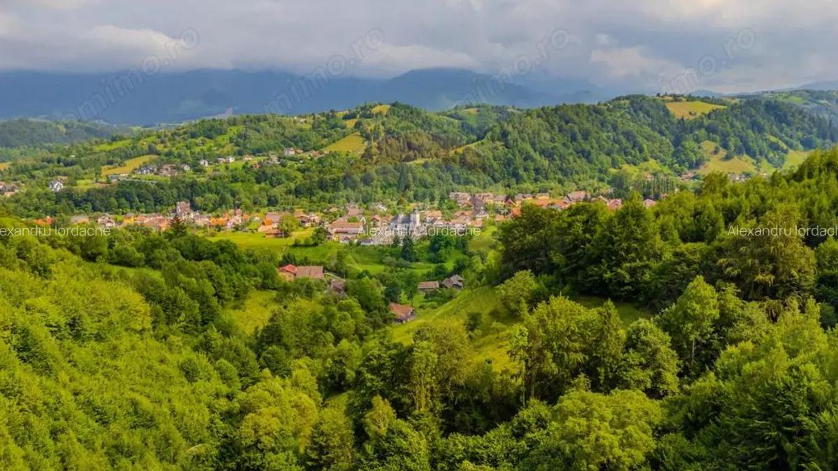 COMISION0% Teren de poveste in Moieciu de Jos parau, padure - 10