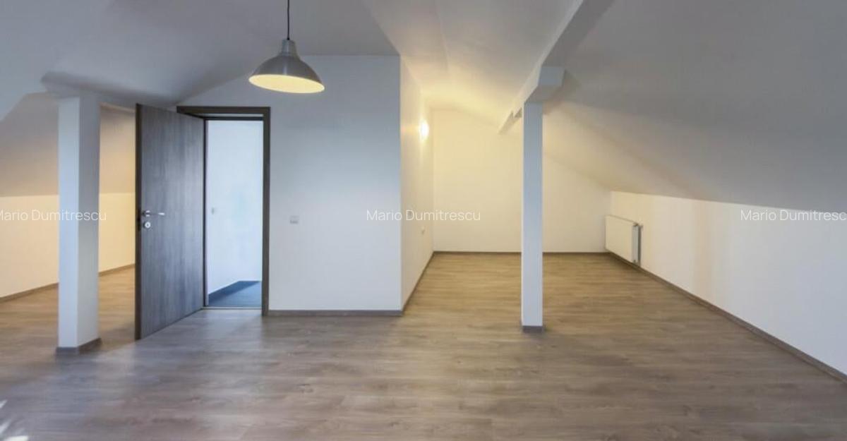 Vila vanzare Sabareni , teren 1876 mp - 4