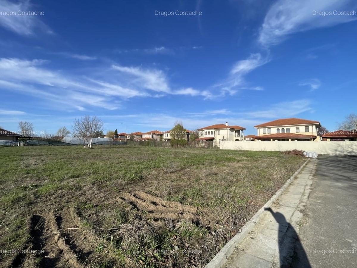 Domnesti, Curtea Domneasca teren 2572mp, deschidere 44ml, utilitati . - 2