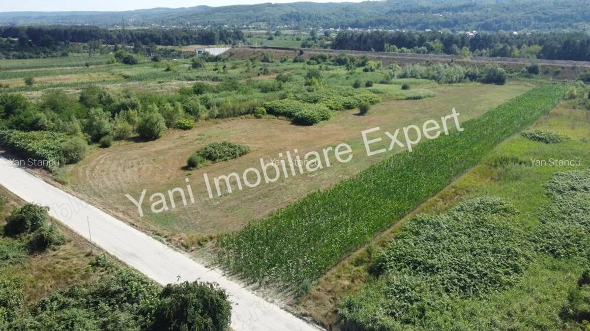 Teren de vanzare in comuna Baicule?ti, Jude? Arge?, in apropiere de fabrica Elemaster. - 12