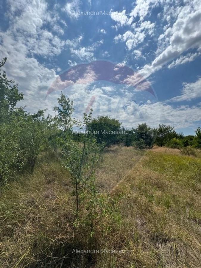 Teren 6,080mp Craiova / Aleea 5 Primaverii - 7