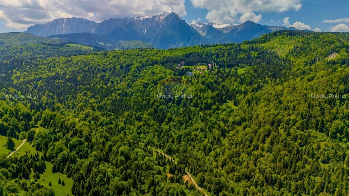 Teren extravlan 14,400mp Paraul Rece / Strada 3 brazi - 1