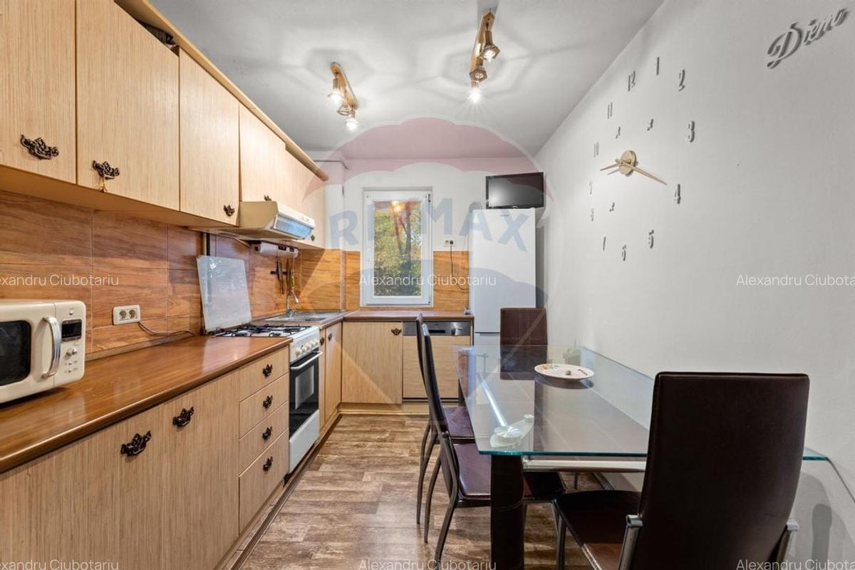 Apartament cu 3 camere de inchiriat - zona Boul Rosu - 5