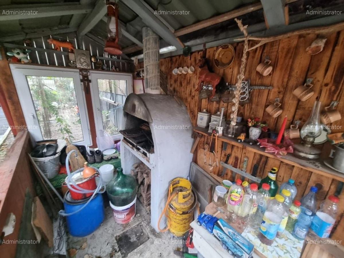 Delfinariu -casa de caramida - 18