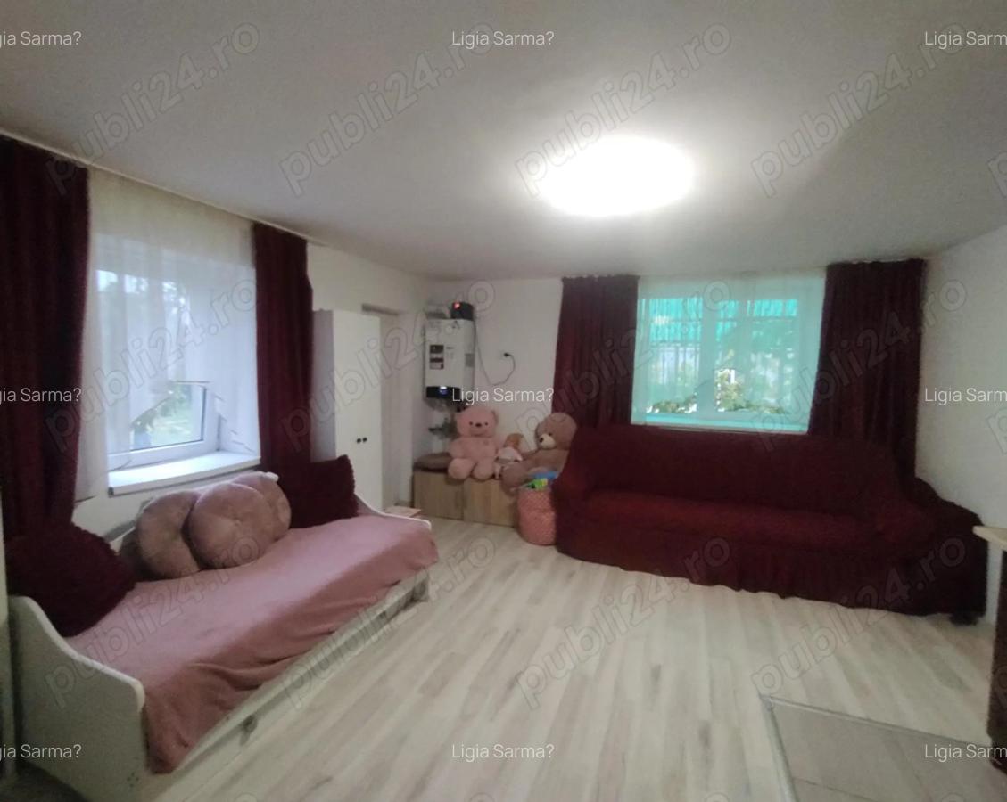 Vand casa Pecica - 2