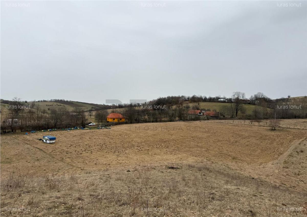 RECO , teren intravilan in Tomnatic, Vadu Crisului - 1