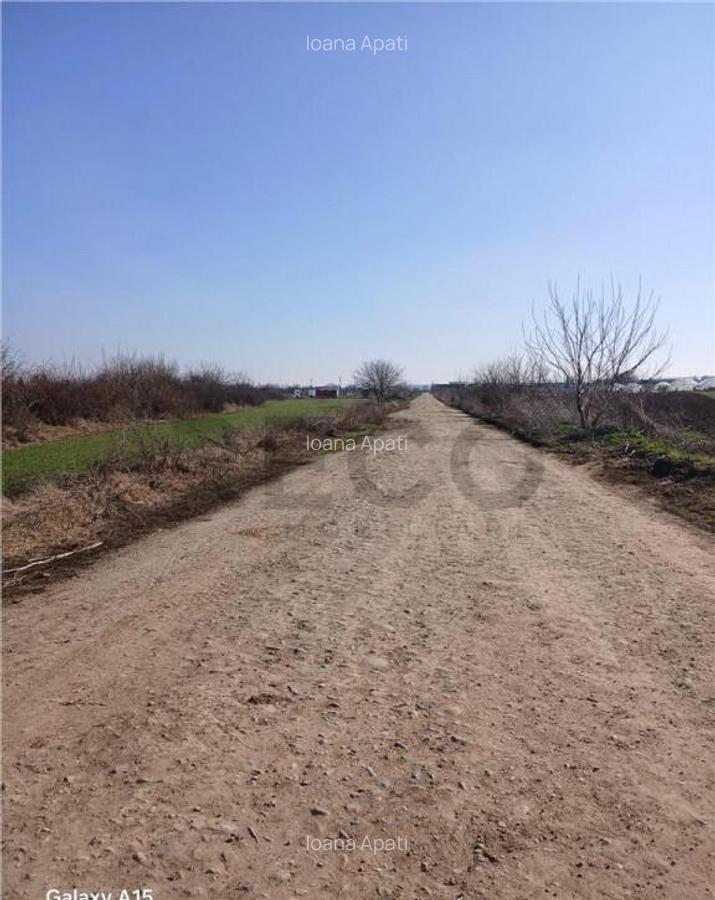 RECO Teren intravilan aproape de zona industriala Biharia - 2