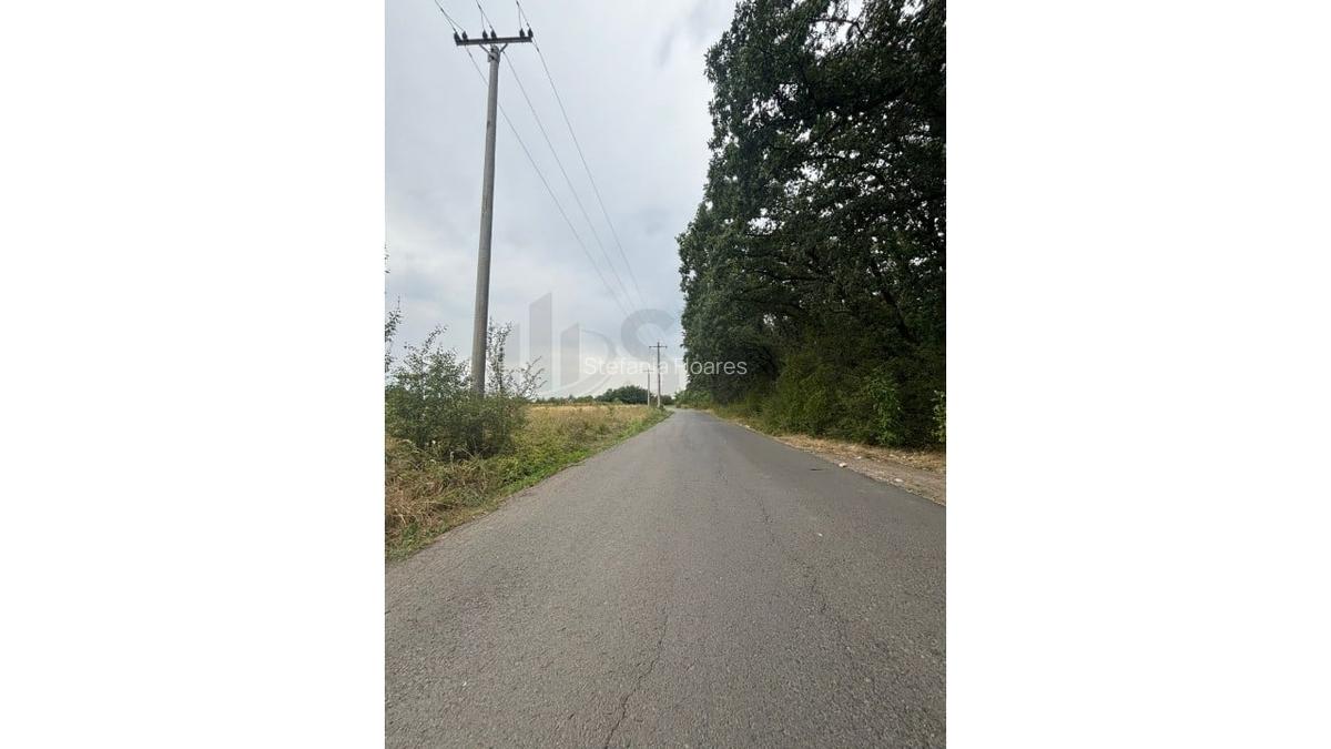 REL4001187 Teren de vanzare 3500 mp la padurea Petresti - 4