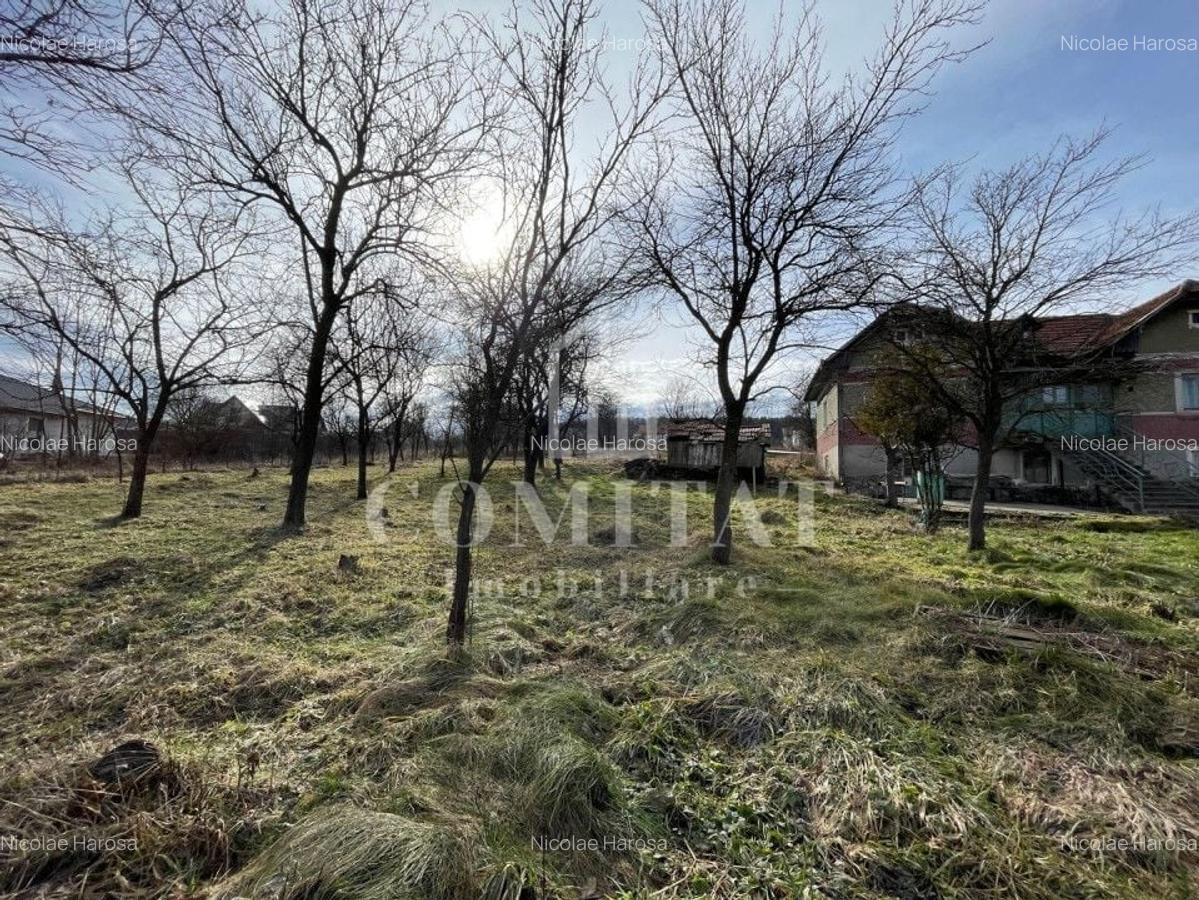Teren autorizabil la preț foarte bun Chinteni - 1