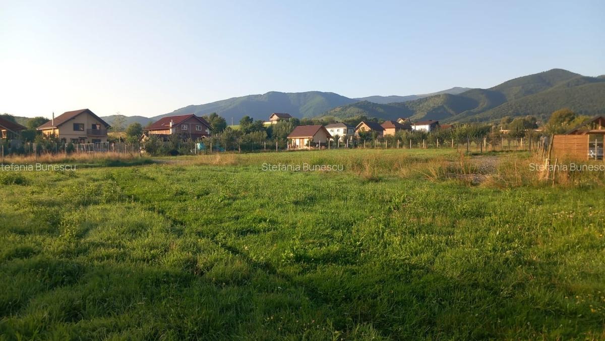 Teren intravilan  | 829 mp | de vanzare- Tocile-Sadu - 2