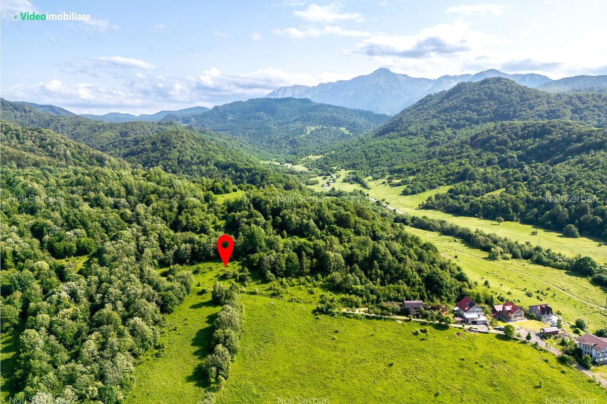 Teren cu vedere superba spre Cheile Rasnoavei, 8800 mp, la marginea pădurii - 1