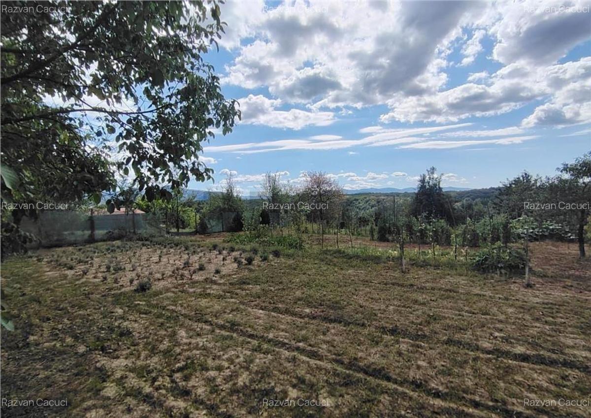 RECO teren intravilan in Saliste de Beius - 2