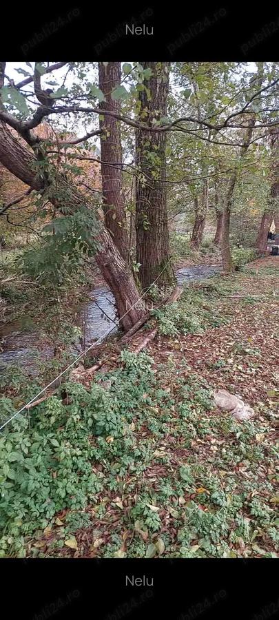 Vand teren cu casa BRATCA potential turistic!!! - 3