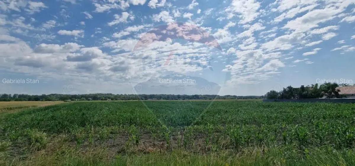 De vanzare teren 10.001 mp sat Oniscani, comuna Filipe?ti - 5