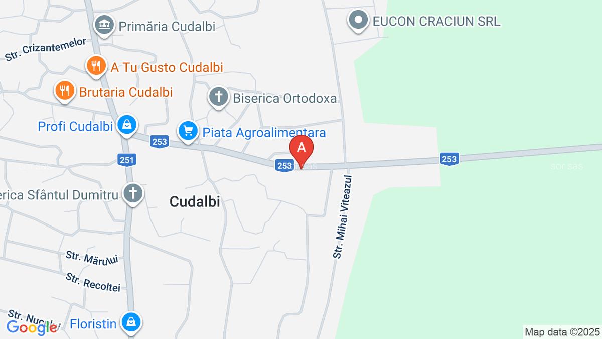 Vand casa com.Cudalbi - 1