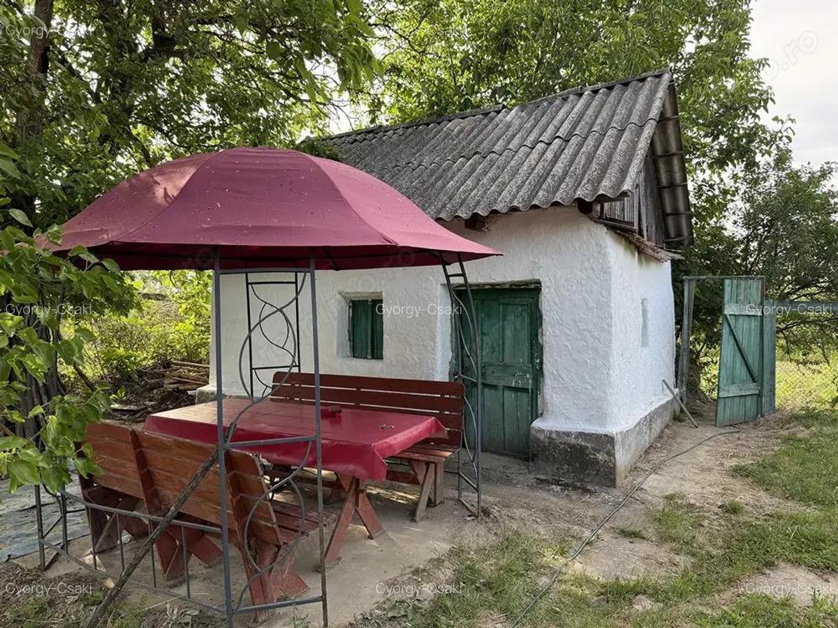 Casa taraneasca cu teren de 5500 mp. - Uileacu de munte - IMOBIHOR - 2