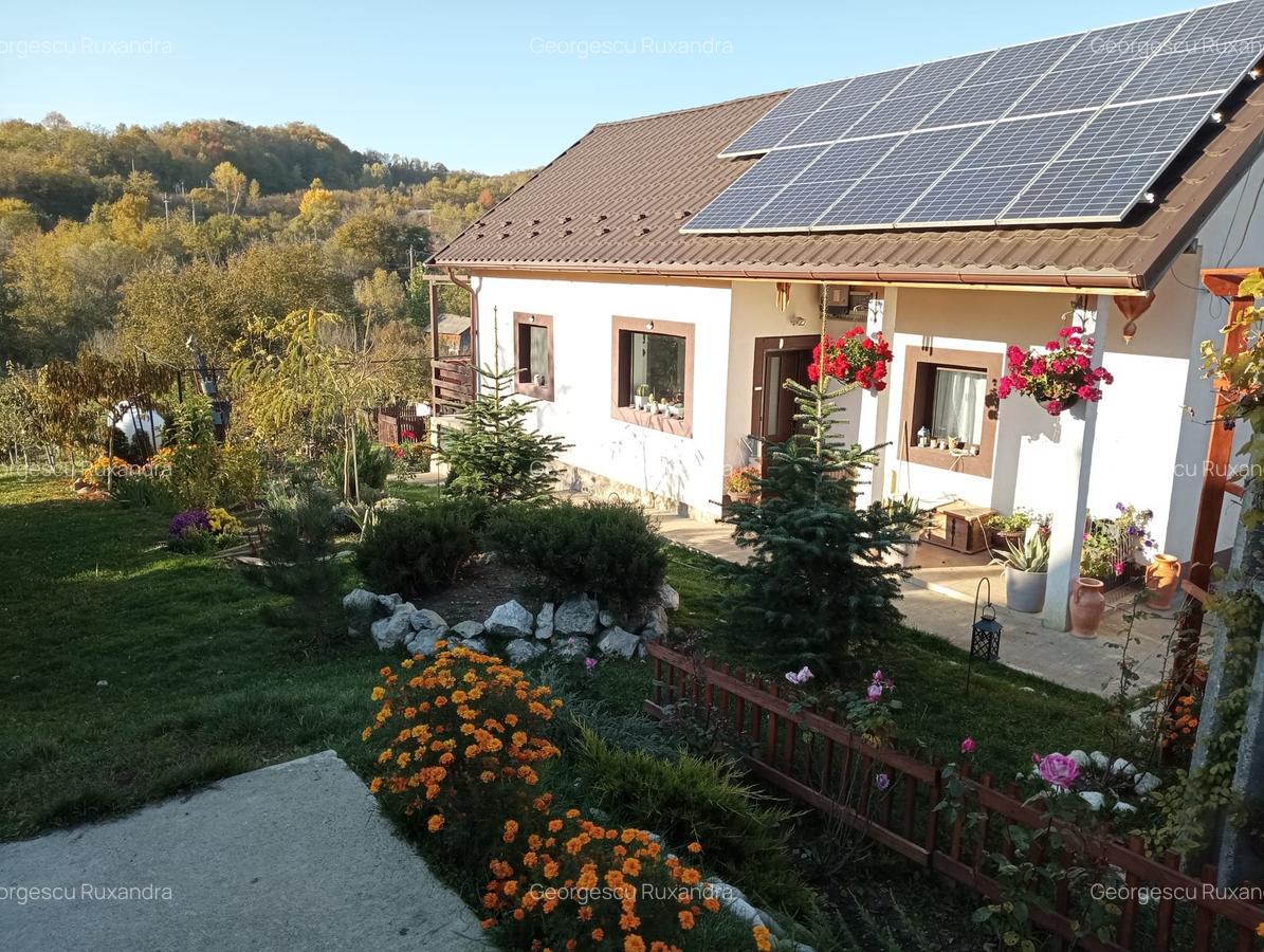 Casa individaual renovata, curte amenjata Boteni de Arges - 5