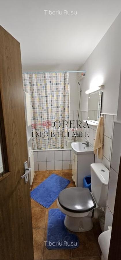 Apartament 2 camere, semidecomandat, de inchiriat, zona Tatarasi - Metalurgie - 8