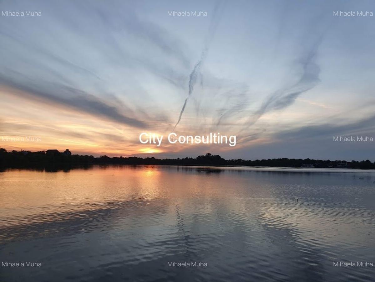 Vanzare vila la Lac Buftea - 16