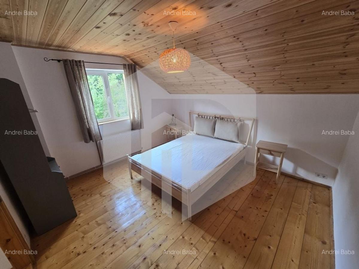 Casa individuala 4 camere teren 3825 mp Cisnadioara - 12