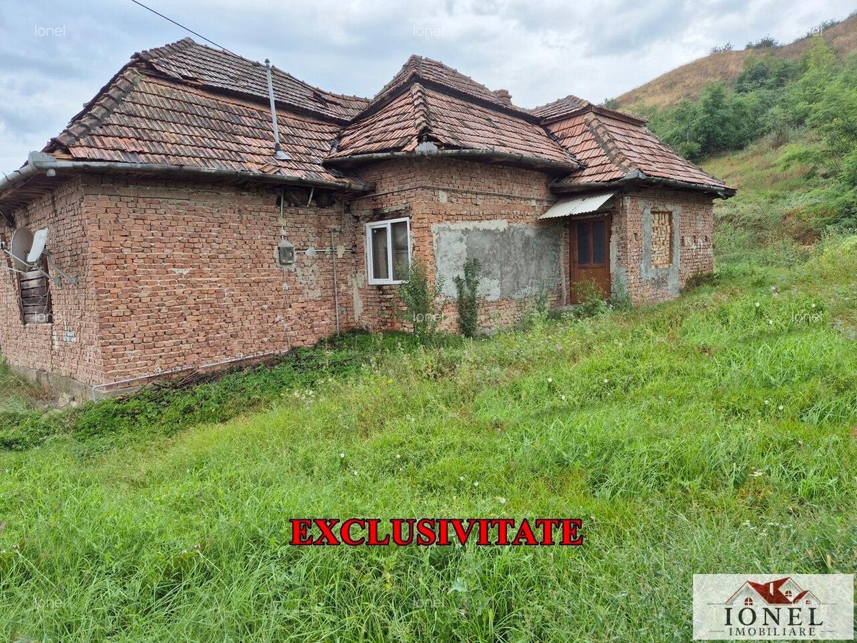 Casa de vanzare in Lunca Muresului - 1