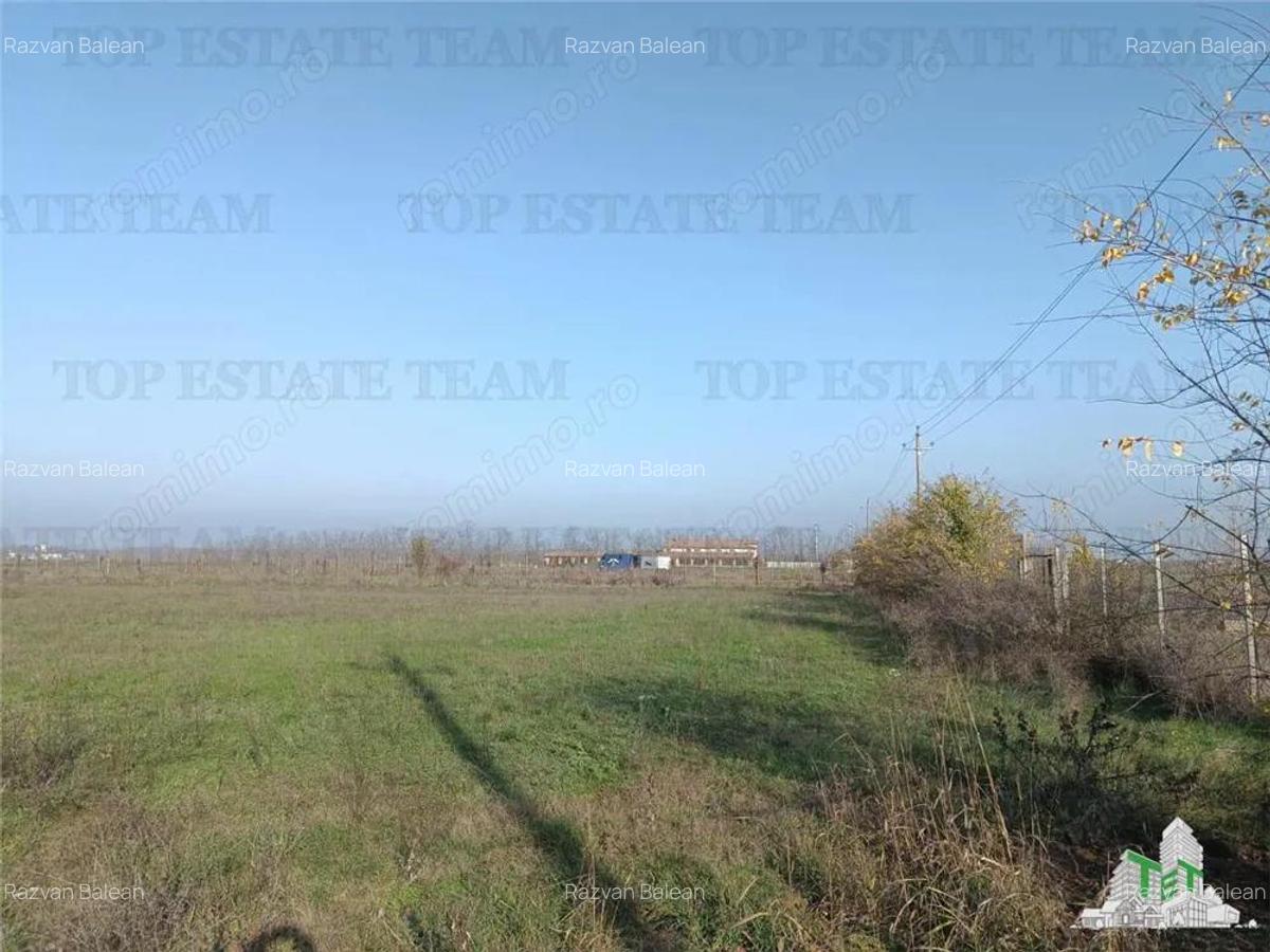 Super teren intravilan (Lot 1) la DJ 101, loc. Gruiu IF, ideal pentru dezvoltatori imobiliari pentr - 4