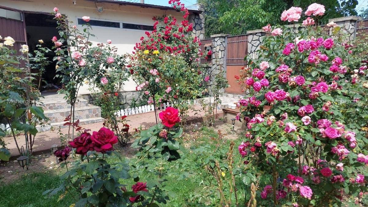 Casă de vânzare Ploiești Est - 3