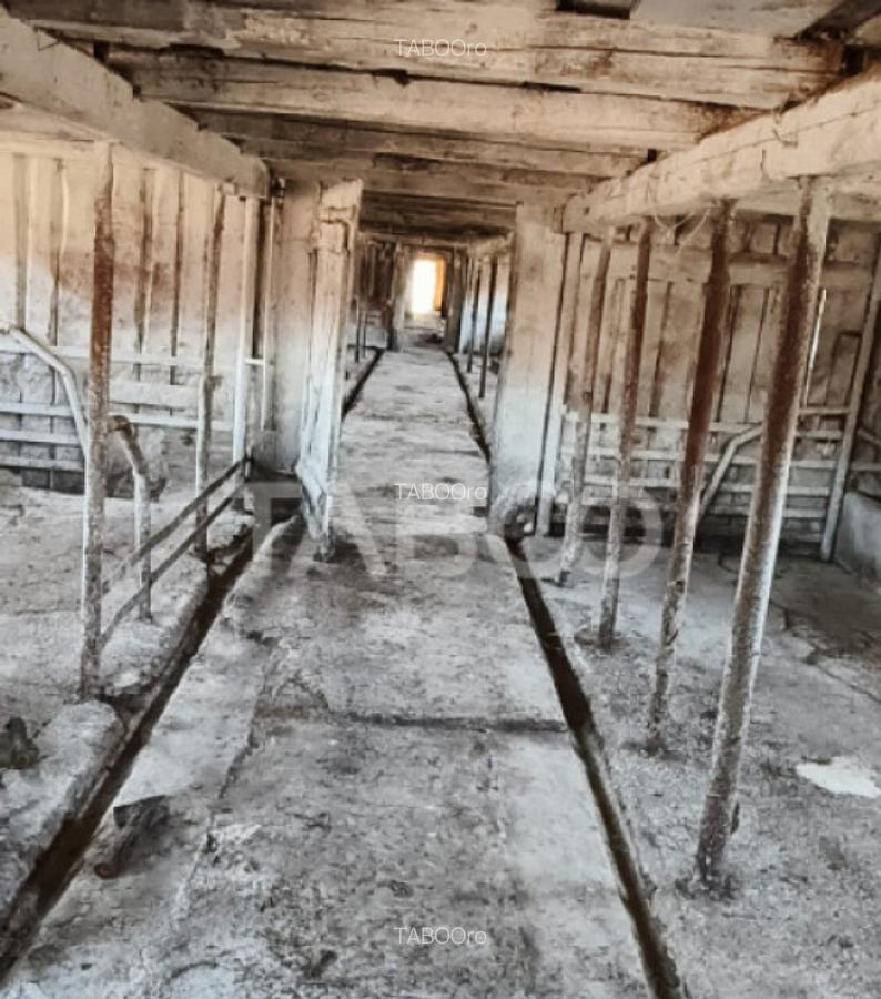 Microferma cu locuinta de vanzare in Pianu de sus - 7