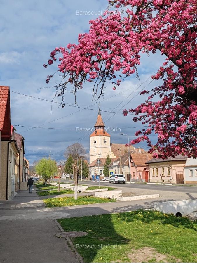 Gospodarie saseasca, cu 3200mp teren - 6