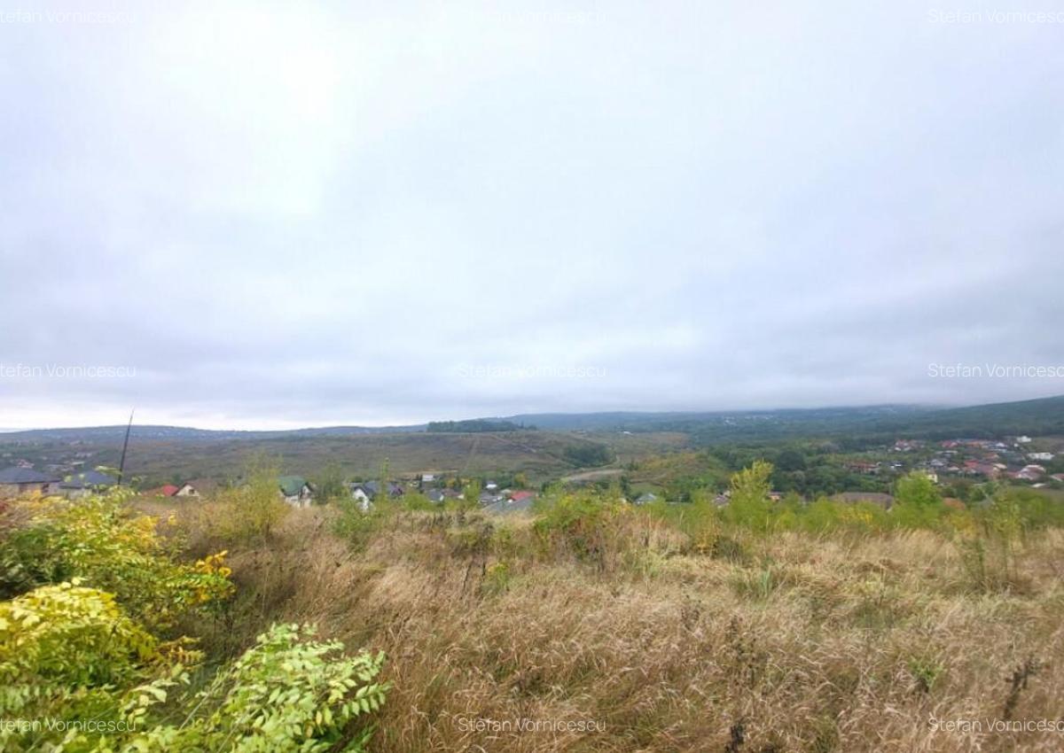 Teren de vanzare Barnova, cu priveliste Vanzare imediata - 12