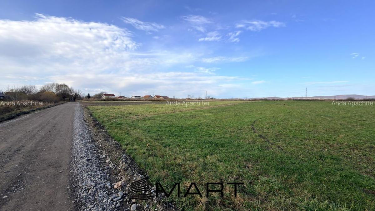 Teren Extravilan 15.000 mp Prejmer - 3