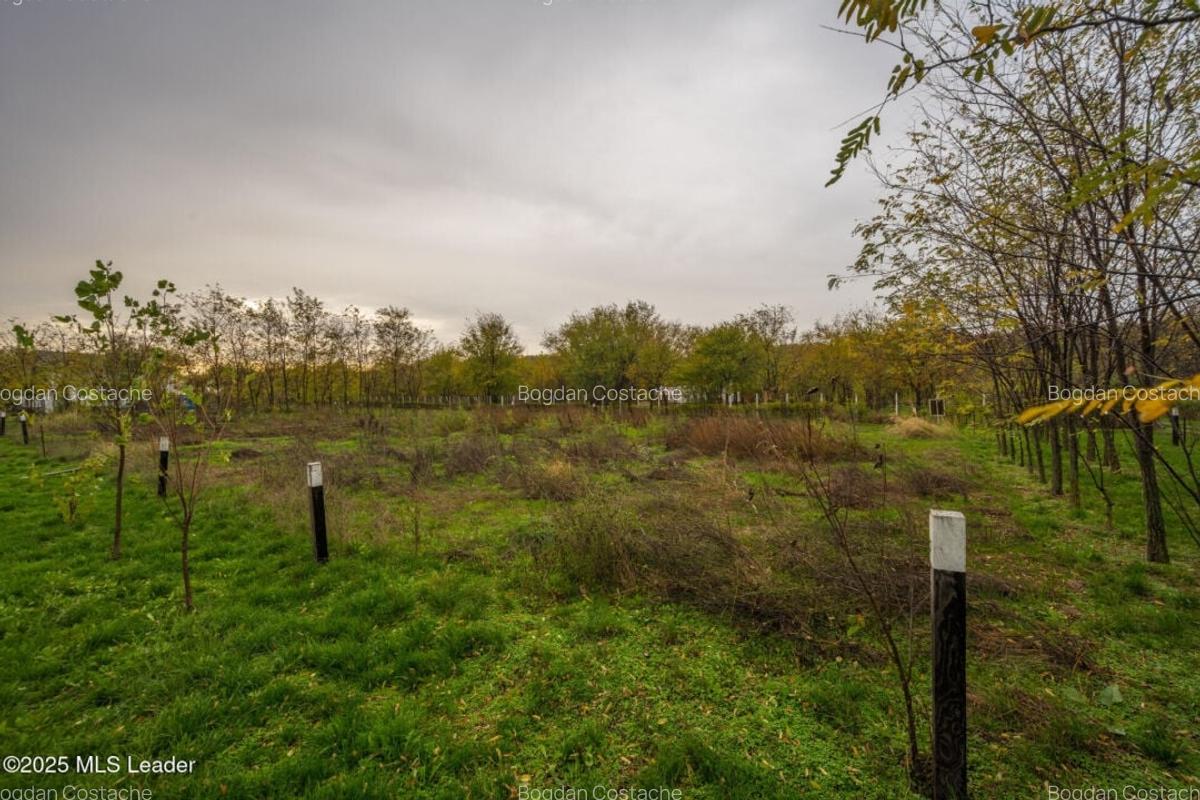 Teren intravilan de vanzare | Cartier rezidential deosebit | Afumati - 2