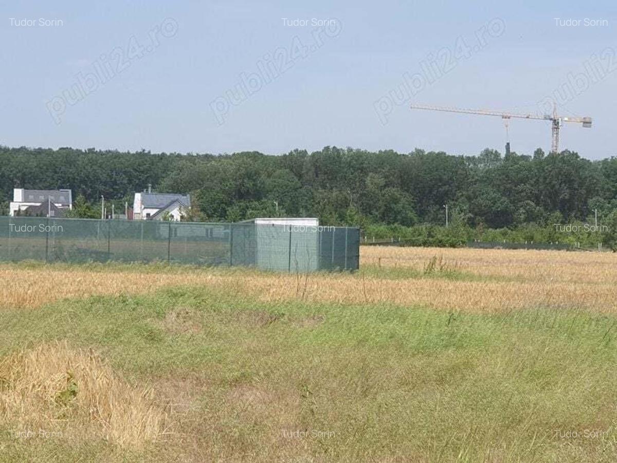 Teren situat in Balotesti,langa padure,acces drum pietruit, 28000 euro - 4
