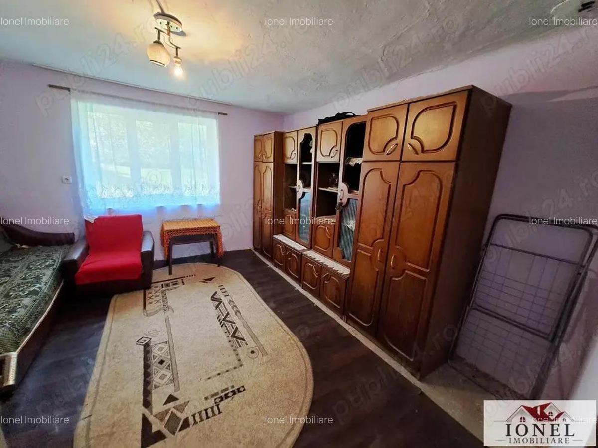 Casa de vanzare in zona Vintu cu 10.790 mp teren - 3