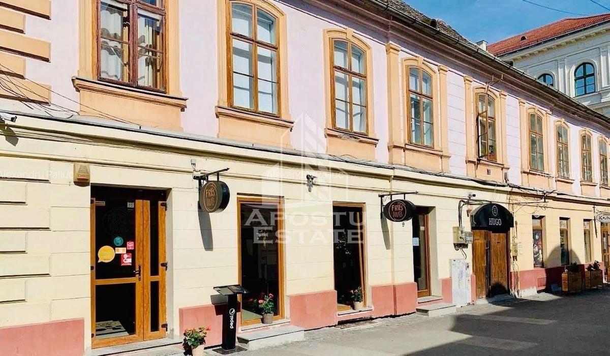 Afacere tip restaurant, Piata Unirii - 5