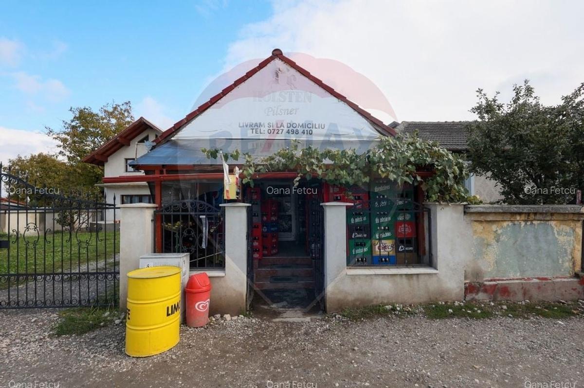 Spatiu comercial cu potential extraordinar - 1