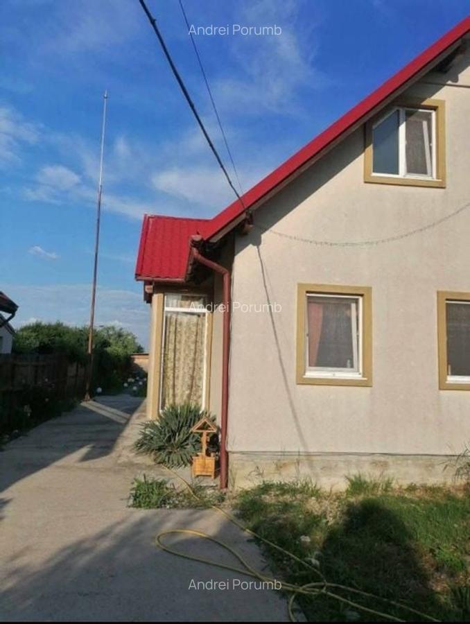 Individuala P+M Becicherecu Mic,4 Camere,Piscina exterioara,Teren Generos - 3