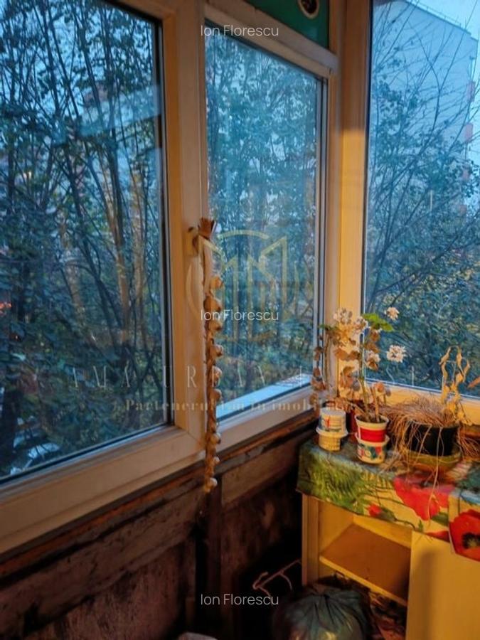 Teiul Doamnei Doamna Ghica  4 camere  87 mp , pret 136000eur - 14