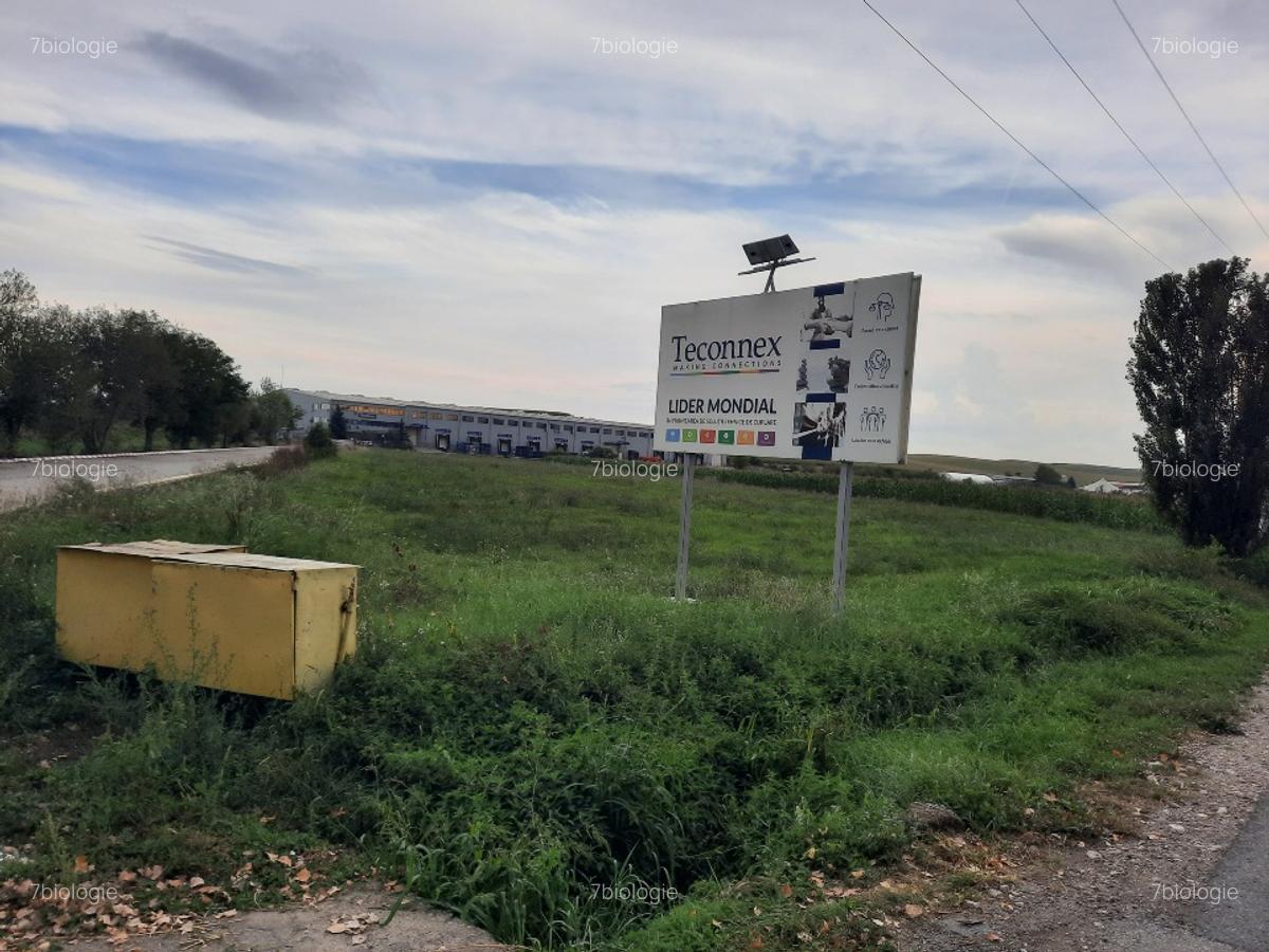 Teren, 5800 mp, intravilan in Comuna Tureni, Jud Cluj - 1