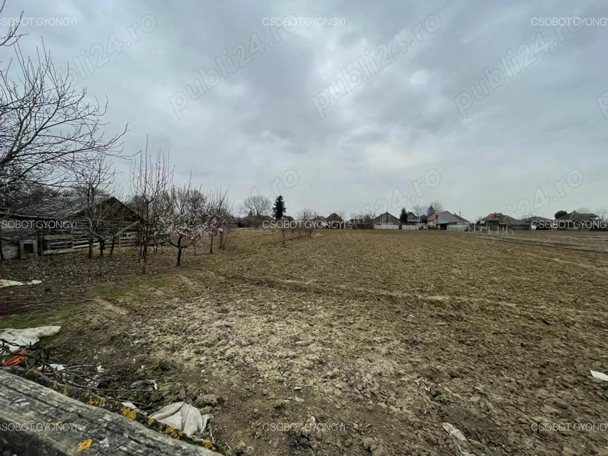 Casa de vanzare - 3 Casa de vanzare - 3