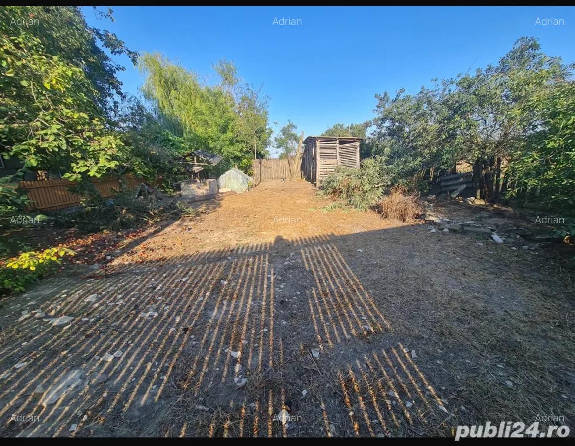 Casa batraneasca Ceamurila de jos - 3