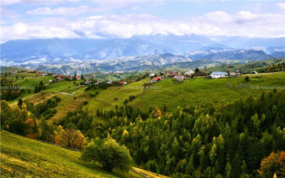 7.000 mp, pozitie spectaculoasa, fara vecini, Fundatica, Bra - 6