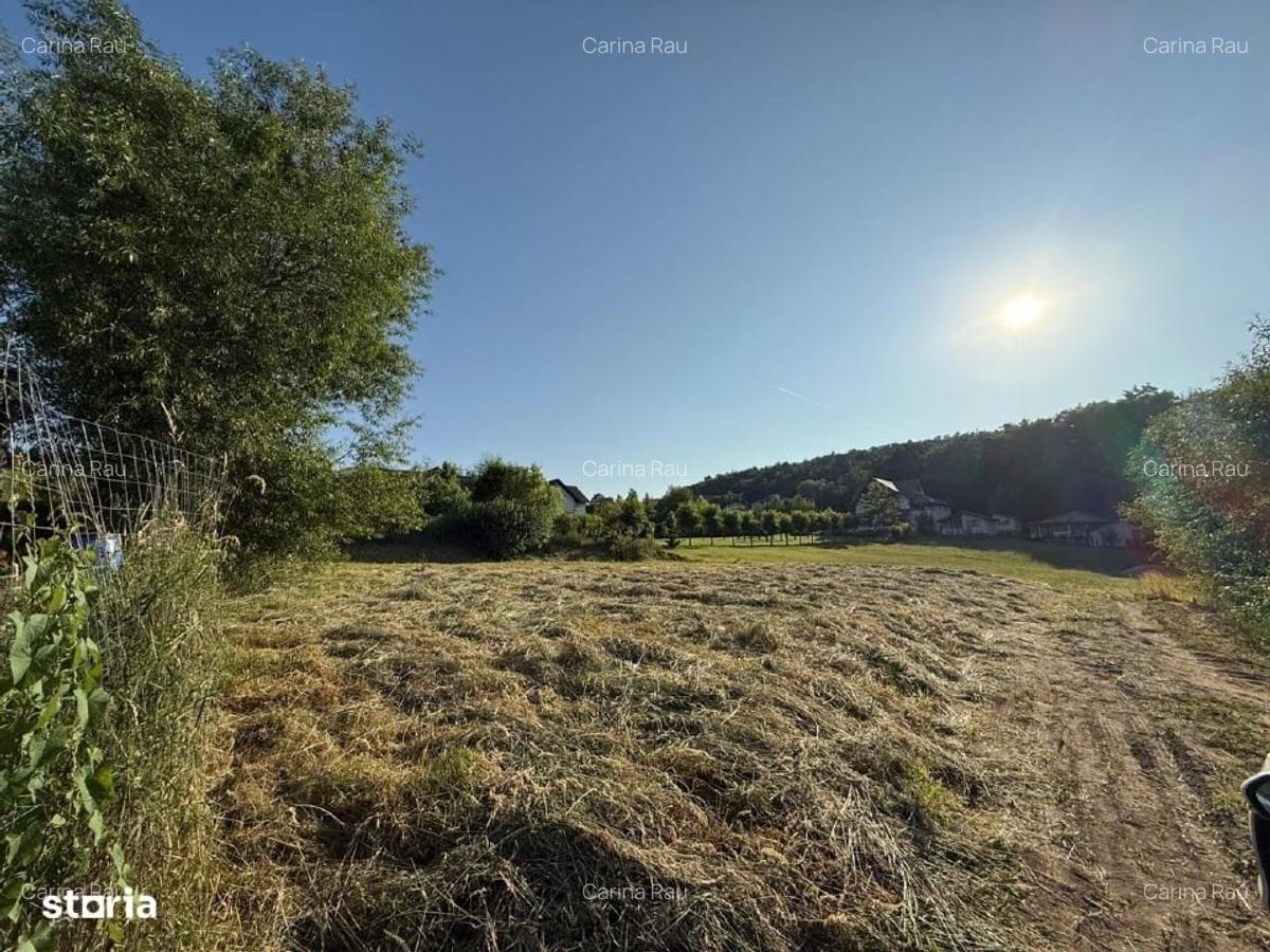 Teren de vânzare intravilan Cisnadioara - certificat urbanism - 3