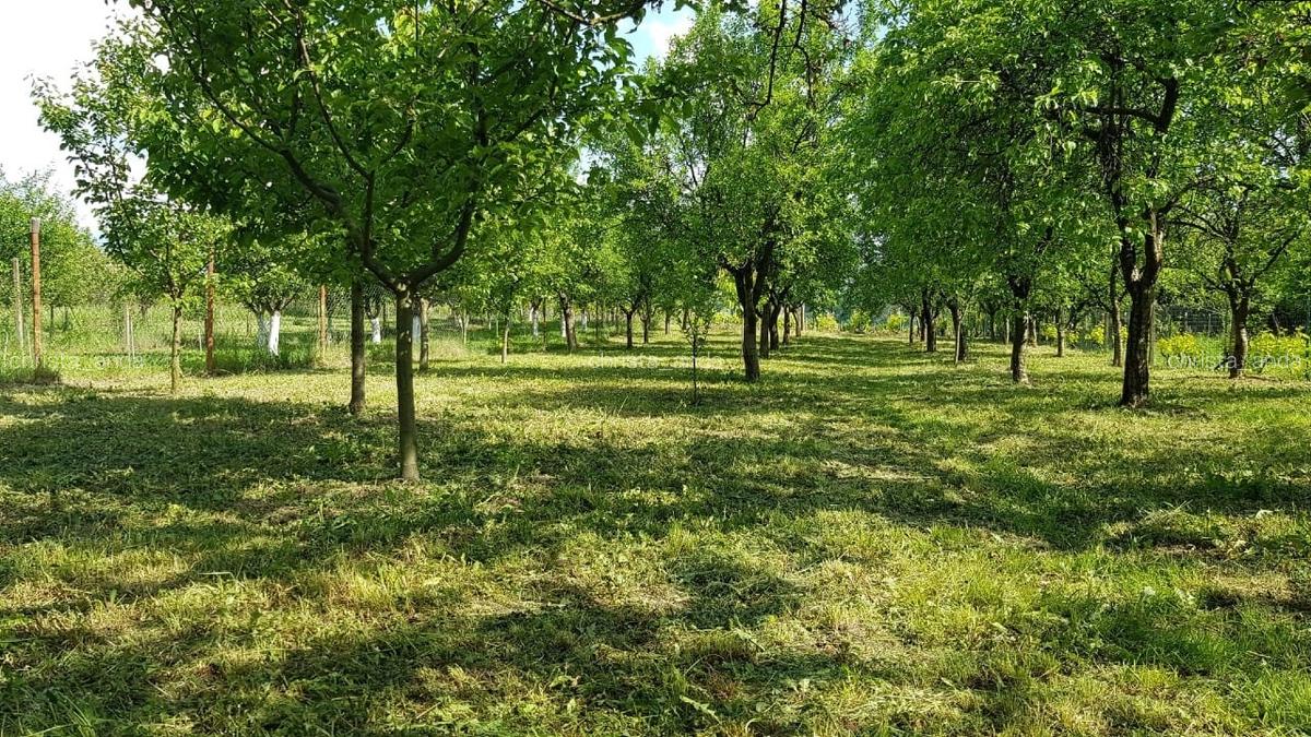 Teren Oradea 3.152 mp front 22.5 m str Fagetului - 4